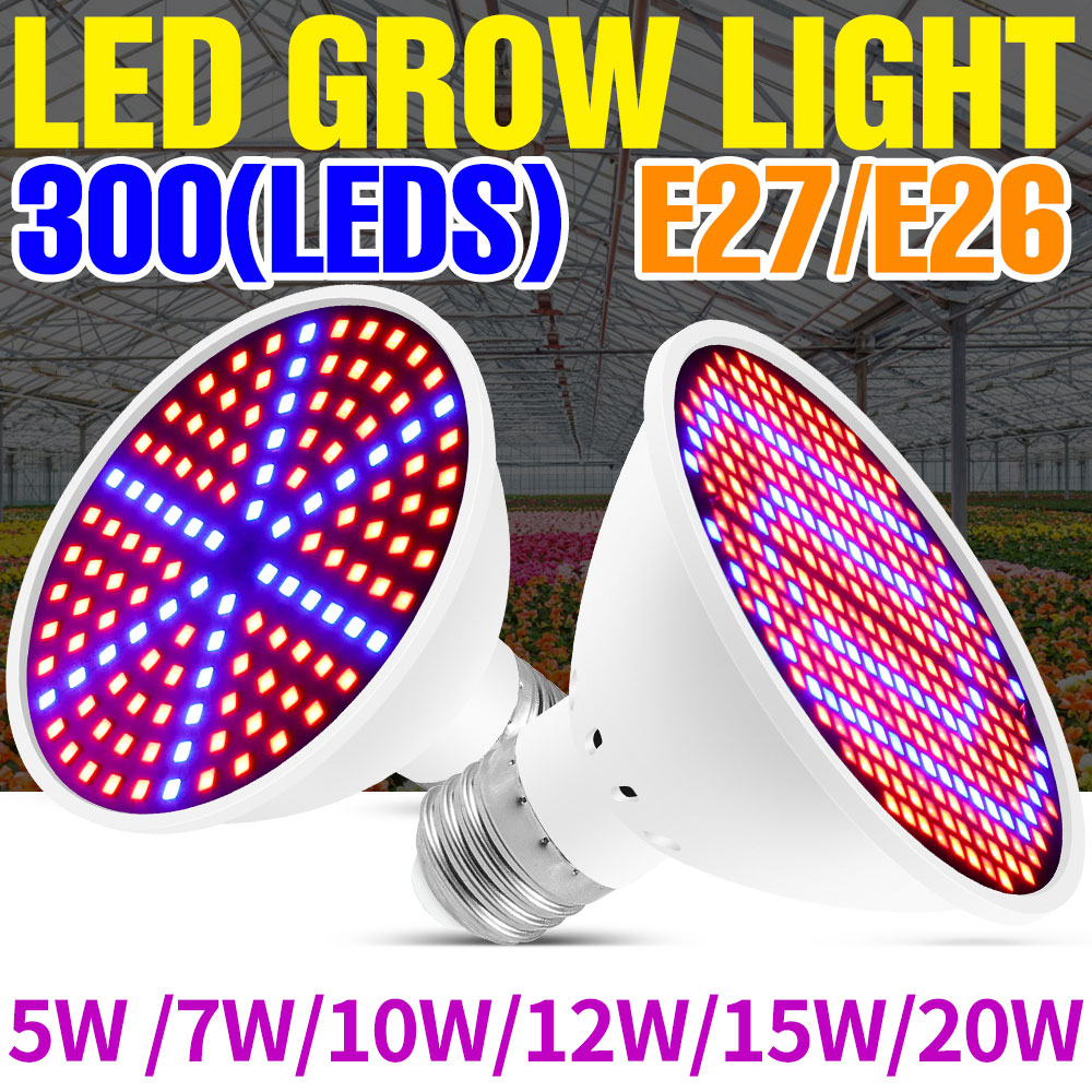 Echeveria Succulent - Lampada LED a spettro completo da