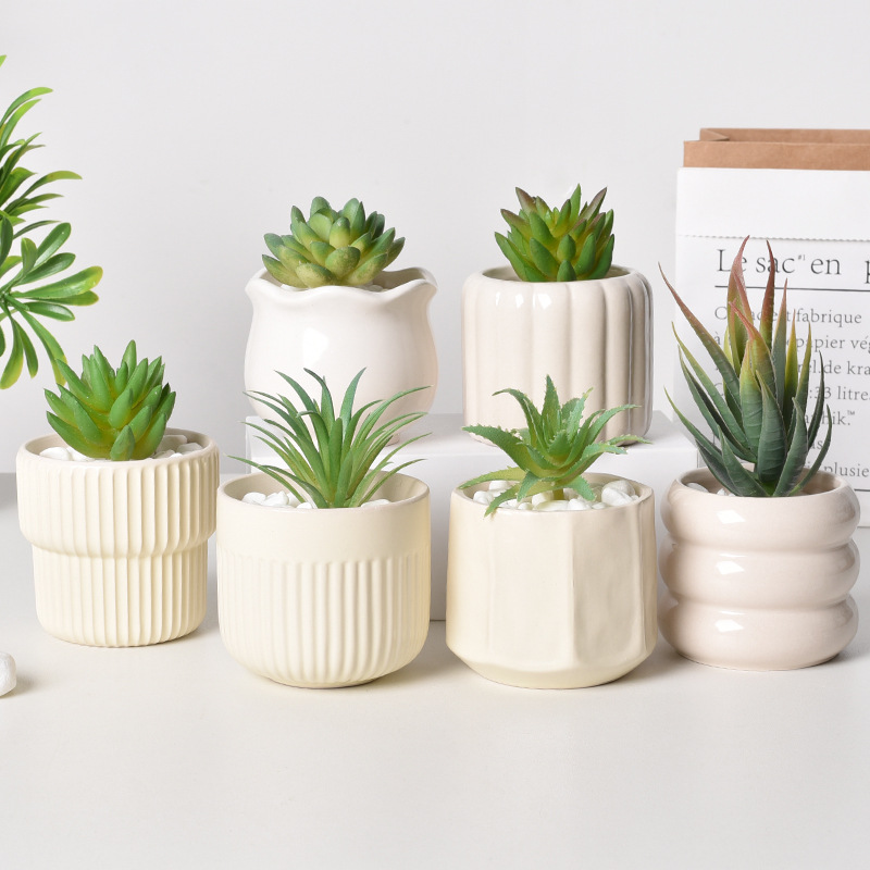 Fioriera succulenta in ceramic - Echeveria Succulent recensione e prezzo