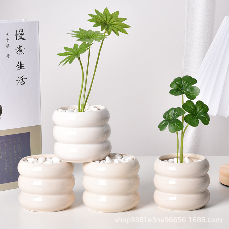 Fioriera succulenta in ceramic - Echeveria Succulent recensione e prezzo