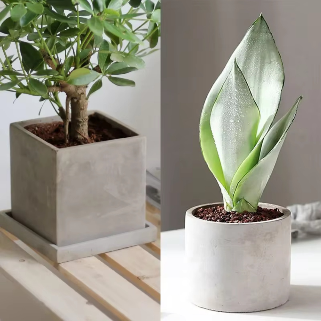 Stampo in Silicone per Vaso di - Echeveria Succulent recensione e prezzo